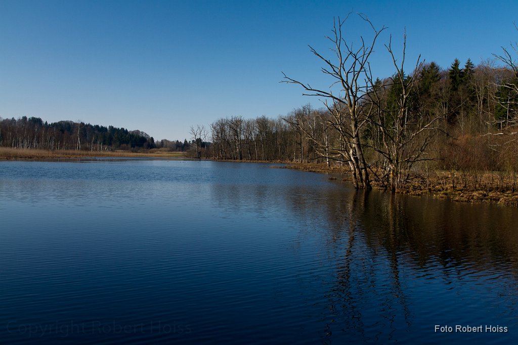2011-03-31 20 In_der_Seachten_1221_RH.jpg